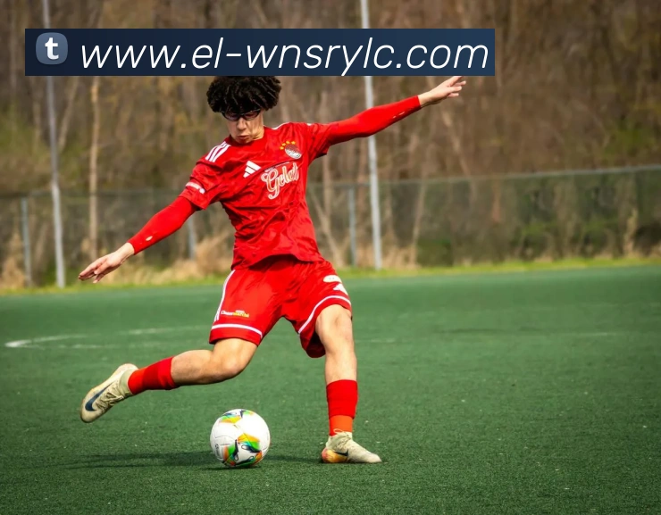 威尼斯人线上娱乐平台生态图